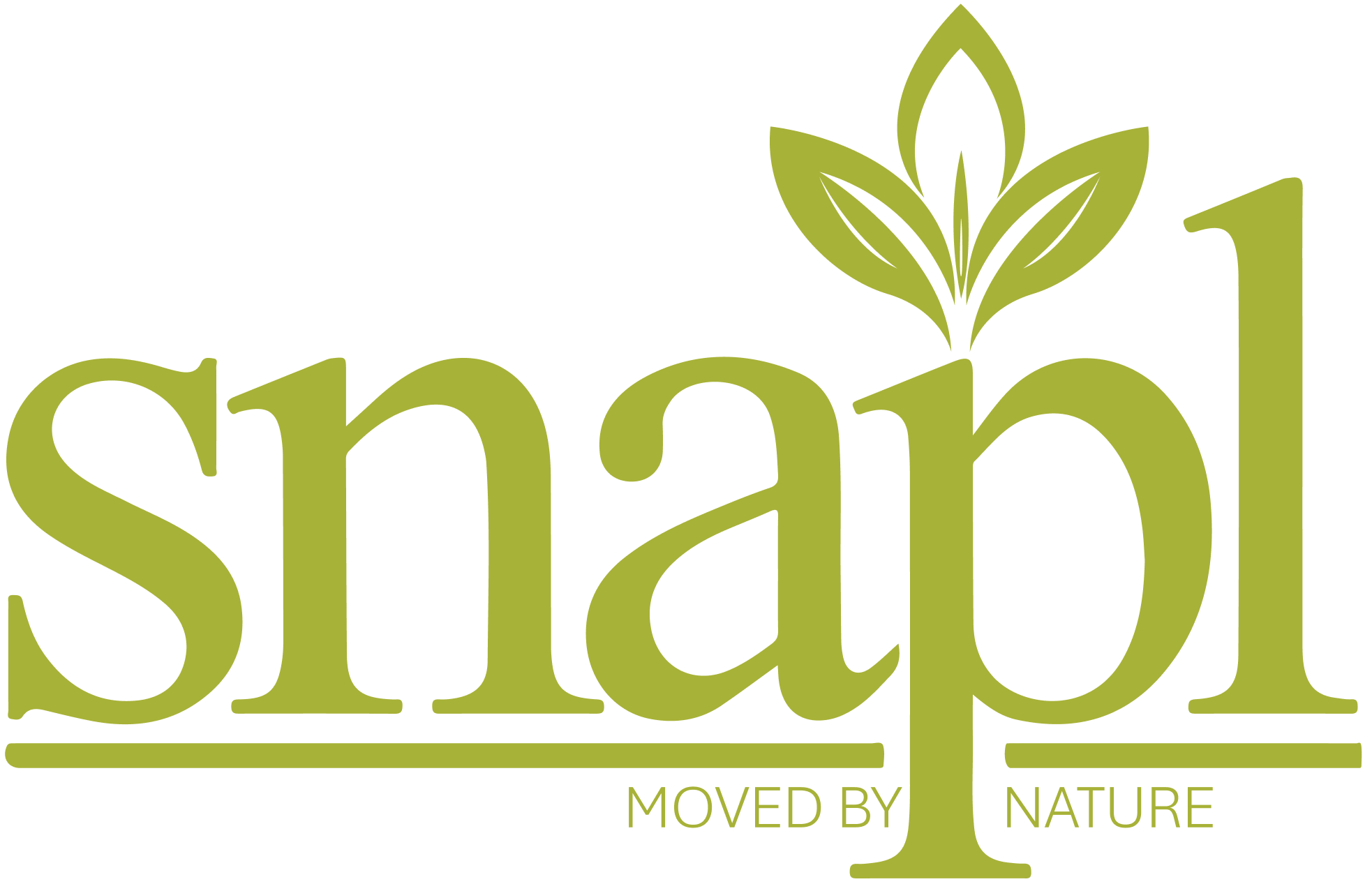 SNAPL LOGO