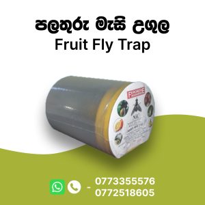 Fruit Fly Trap