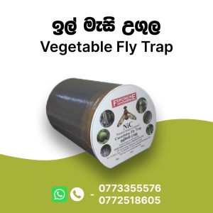 Vegetable Fly Trap
